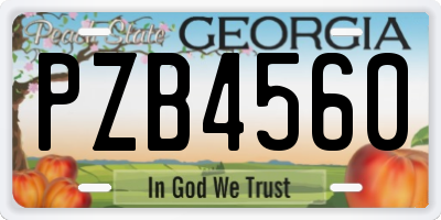 GA license plate PZB4560