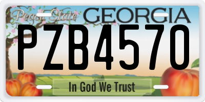 GA license plate PZB4570