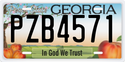 GA license plate PZB4571