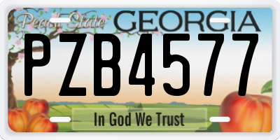 GA license plate PZB4577