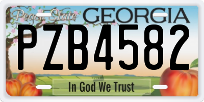 GA license plate PZB4582