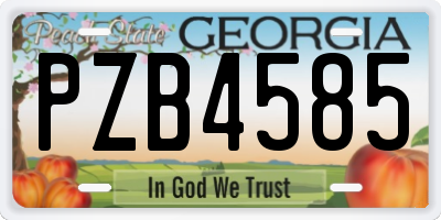 GA license plate PZB4585