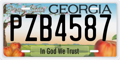 GA license plate PZB4587