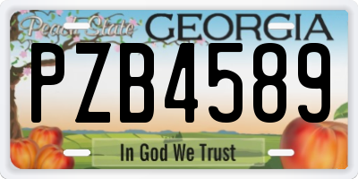 GA license plate PZB4589