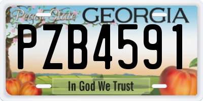 GA license plate PZB4591
