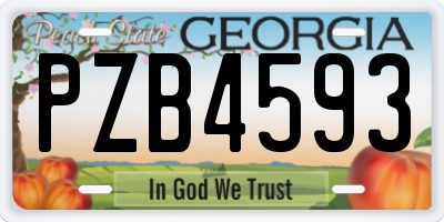 GA license plate PZB4593
