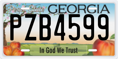 GA license plate PZB4599