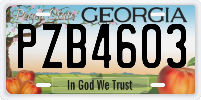 GA license plate PZB4603