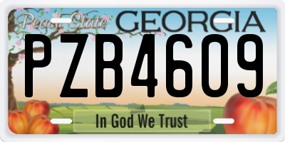 GA license plate PZB4609