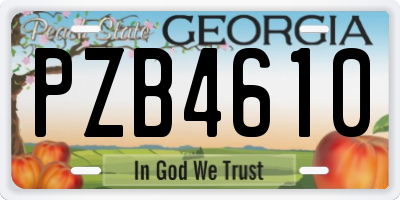 GA license plate PZB4610