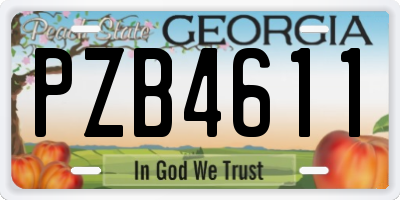 GA license plate PZB4611