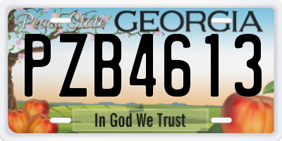 GA license plate PZB4613