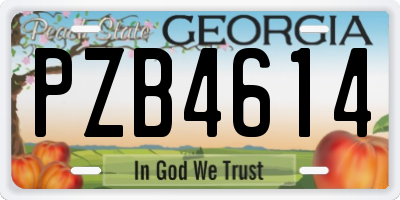 GA license plate PZB4614