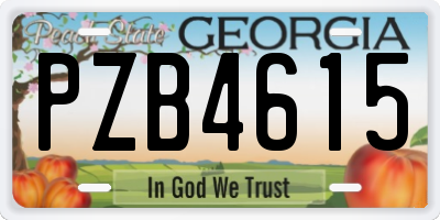 GA license plate PZB4615