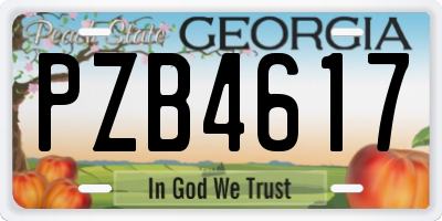 GA license plate PZB4617