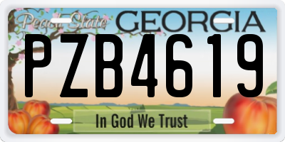 GA license plate PZB4619