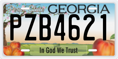 GA license plate PZB4621