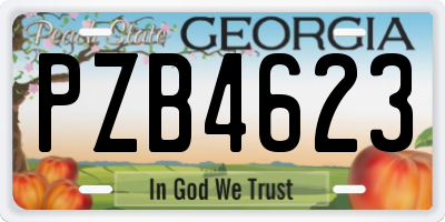 GA license plate PZB4623