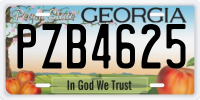 GA license plate PZB4625