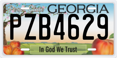 GA license plate PZB4629