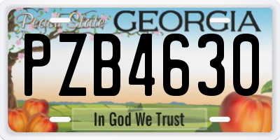 GA license plate PZB4630