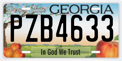 GA license plate PZB4633