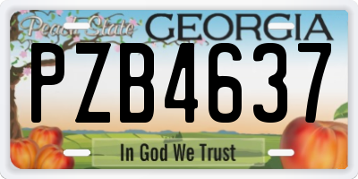 GA license plate PZB4637