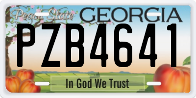 GA license plate PZB4641