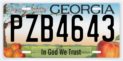 GA license plate PZB4643