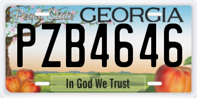 GA license plate PZB4646