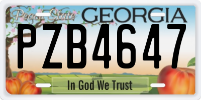 GA license plate PZB4647