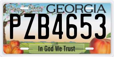 GA license plate PZB4653