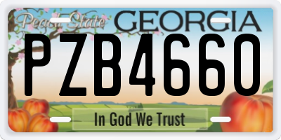 GA license plate PZB4660