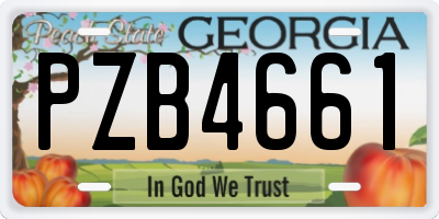GA license plate PZB4661