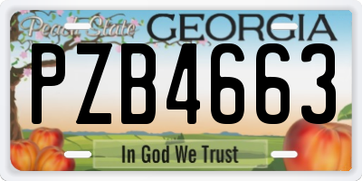 GA license plate PZB4663