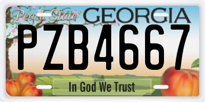 GA license plate PZB4667