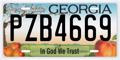 GA license plate PZB4669