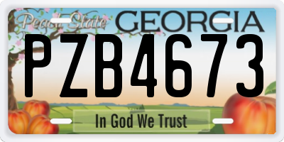 GA license plate PZB4673