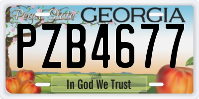 GA license plate PZB4677