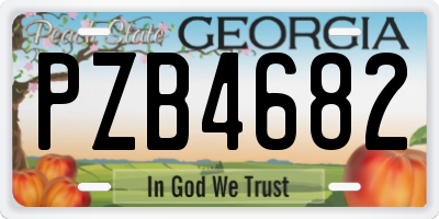 GA license plate PZB4682