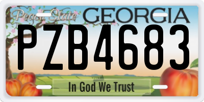 GA license plate PZB4683
