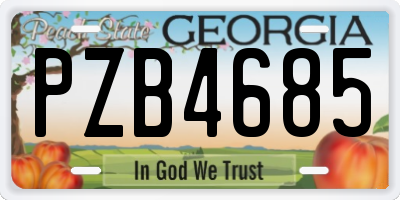 GA license plate PZB4685