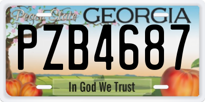 GA license plate PZB4687