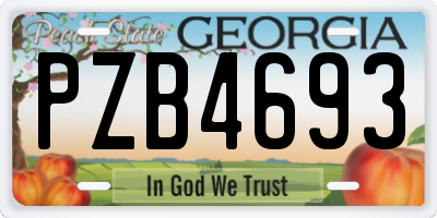 GA license plate PZB4693