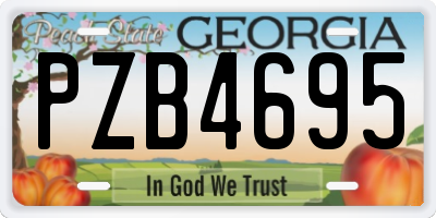 GA license plate PZB4695