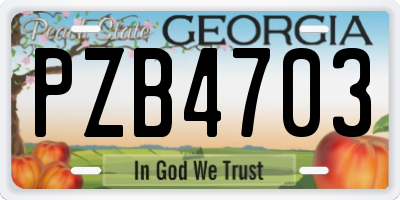 GA license plate PZB4703