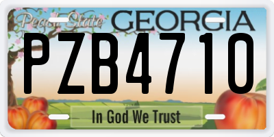 GA license plate PZB4710