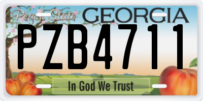 GA license plate PZB4711