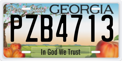 GA license plate PZB4713