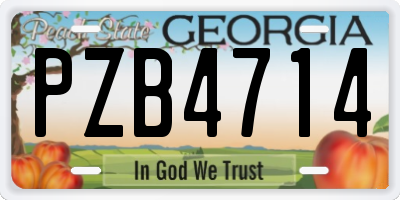 GA license plate PZB4714